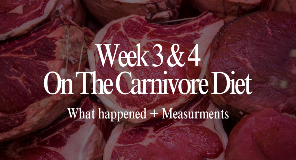 carnivore diet